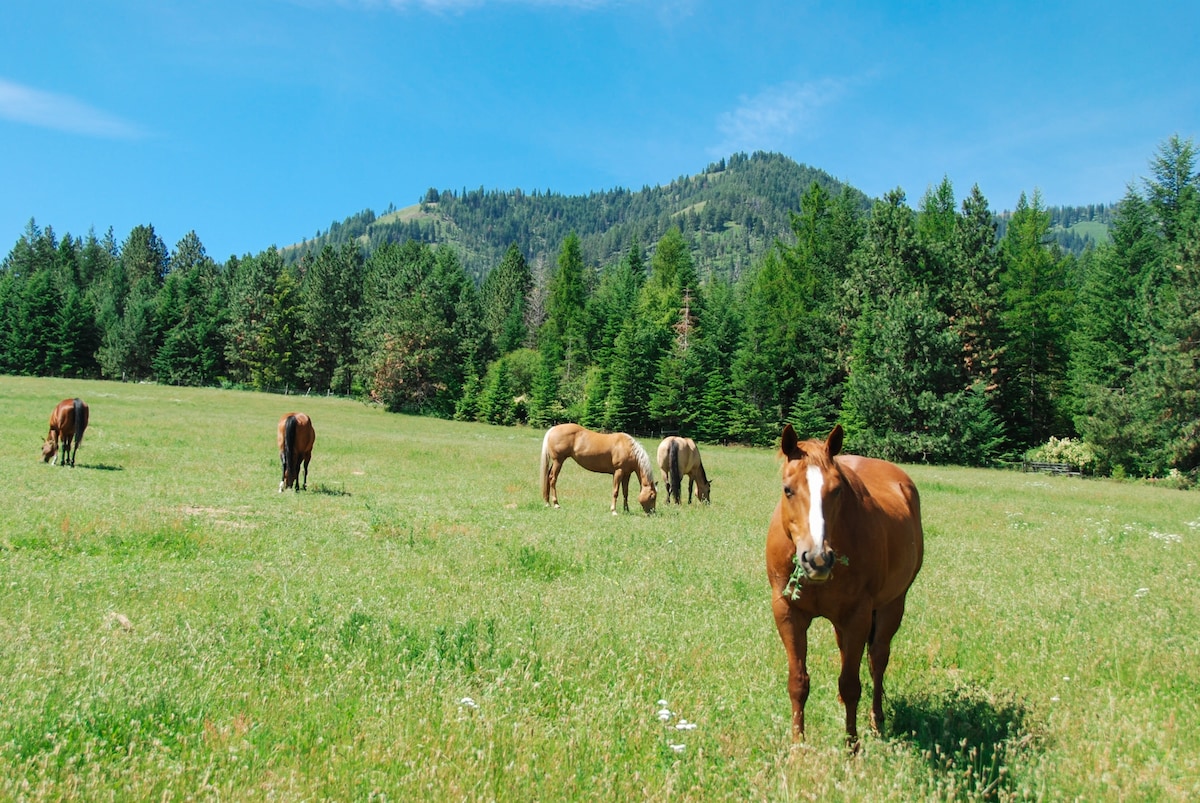 RBH Mountain Ranch