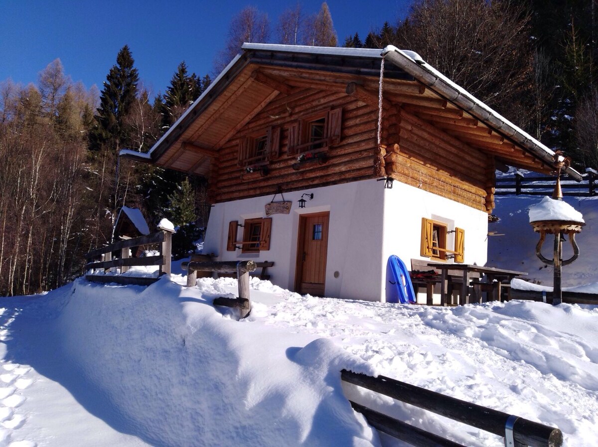 Cabin of Nonno dei Pitoi Trentino022011-AT-050899