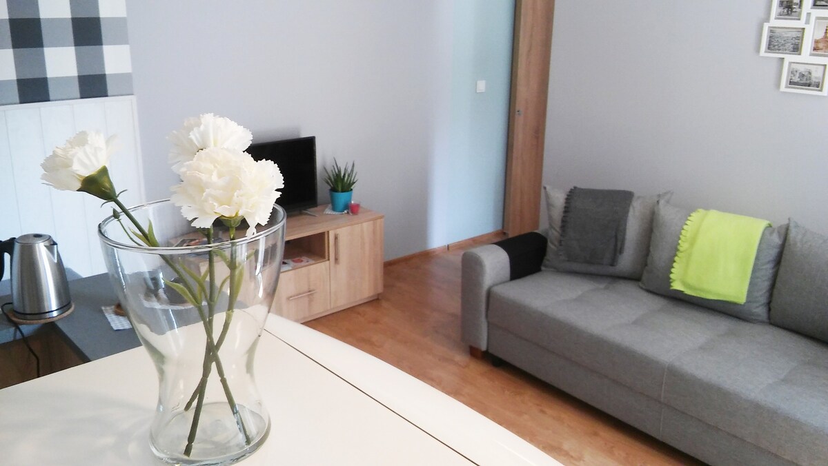 Apartament Poznańska 1