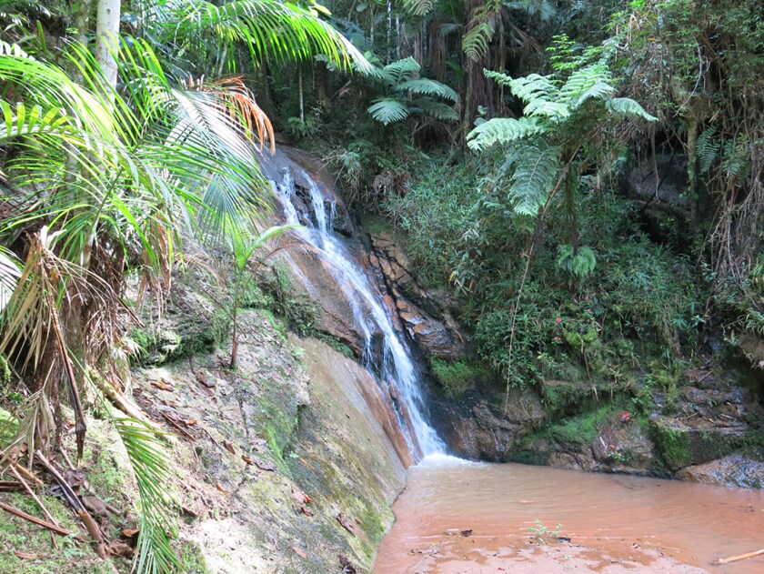 Casa de Campo  sítio do SER 1 - até 18 pessoas