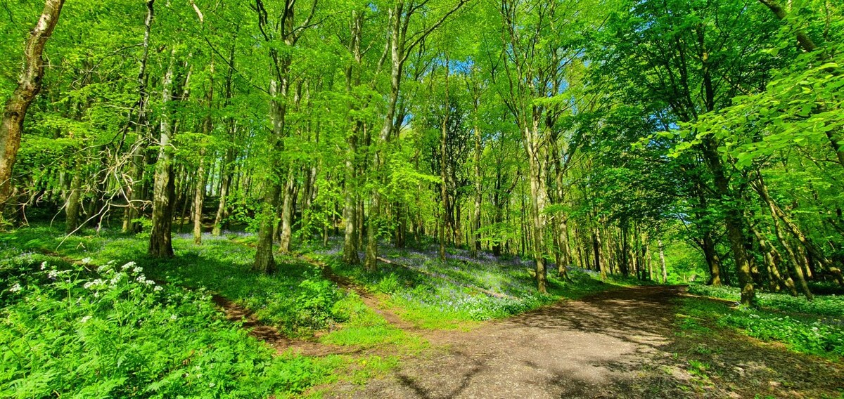 Castlerock Forest Retreat （旅游局批准）