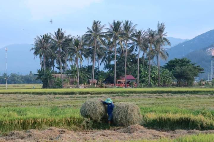 FARMSTAY IN THE RICE FIELD - 3 MEALS& DRINKS INCL.