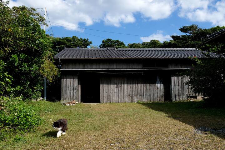 Yakushima, Kumage District的民宿