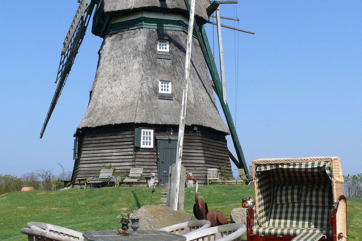 Beautiful authentic mill with large garden