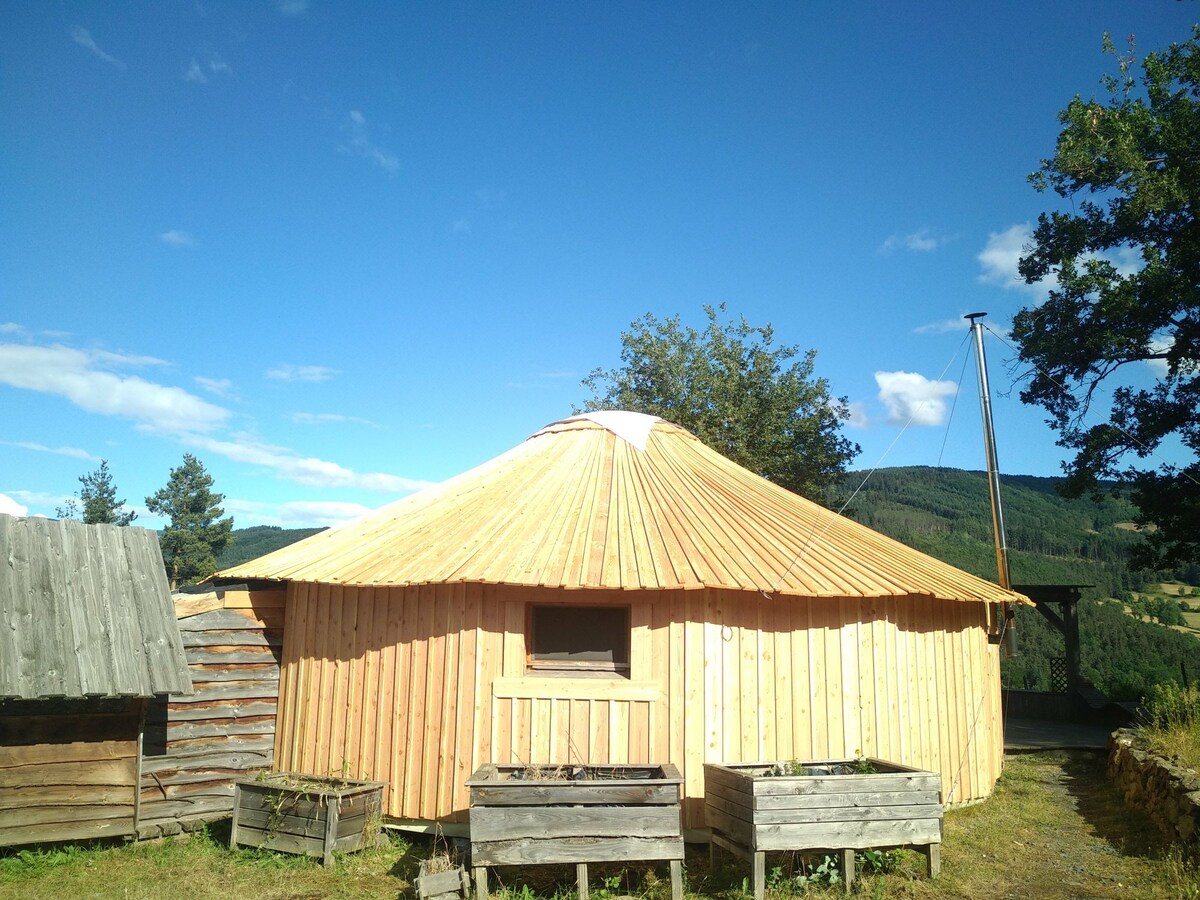 hutte en bois au milieu de la nature