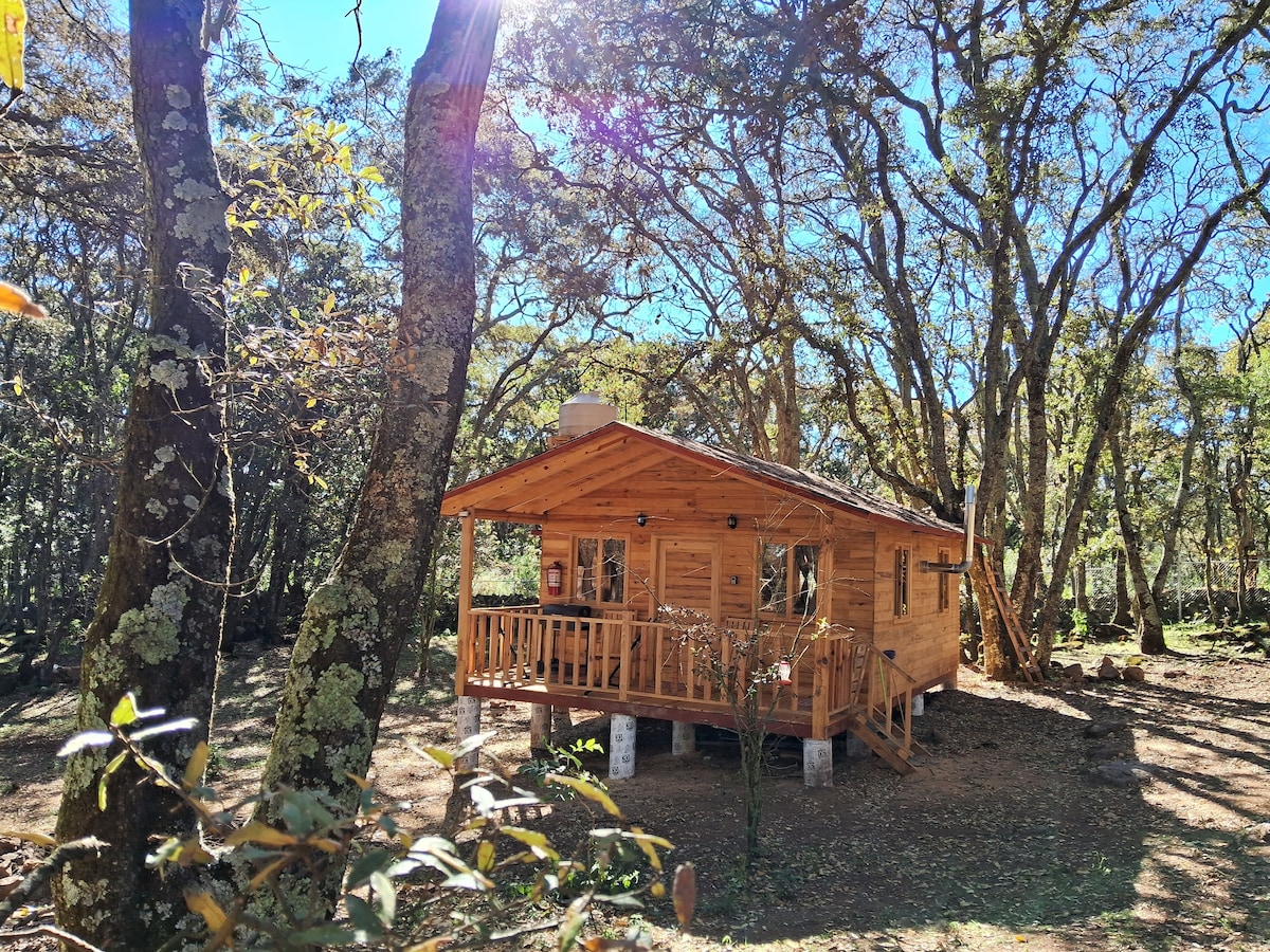 Cabaña de madera #4 en el bosque