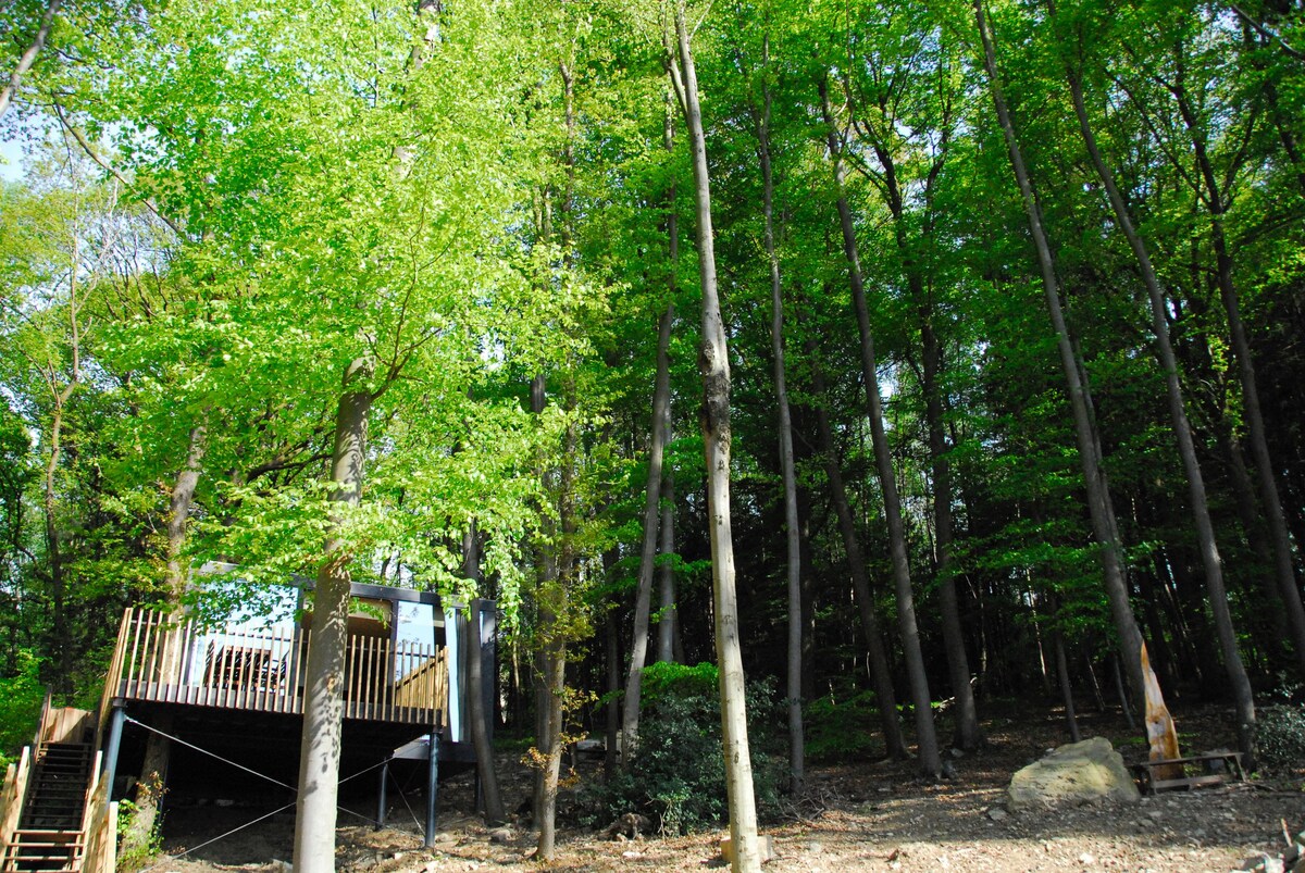 Gîte des Bois de Spa