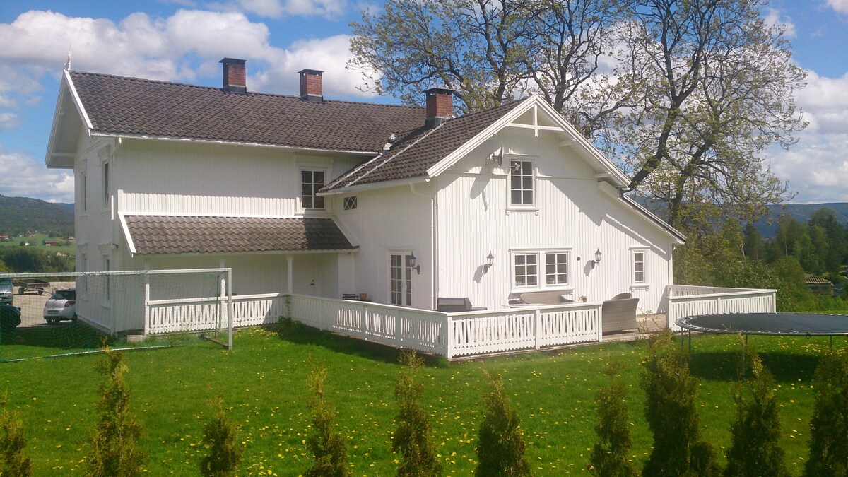 出租的瑞士别墅位于田园诗般的Midt Telemark。