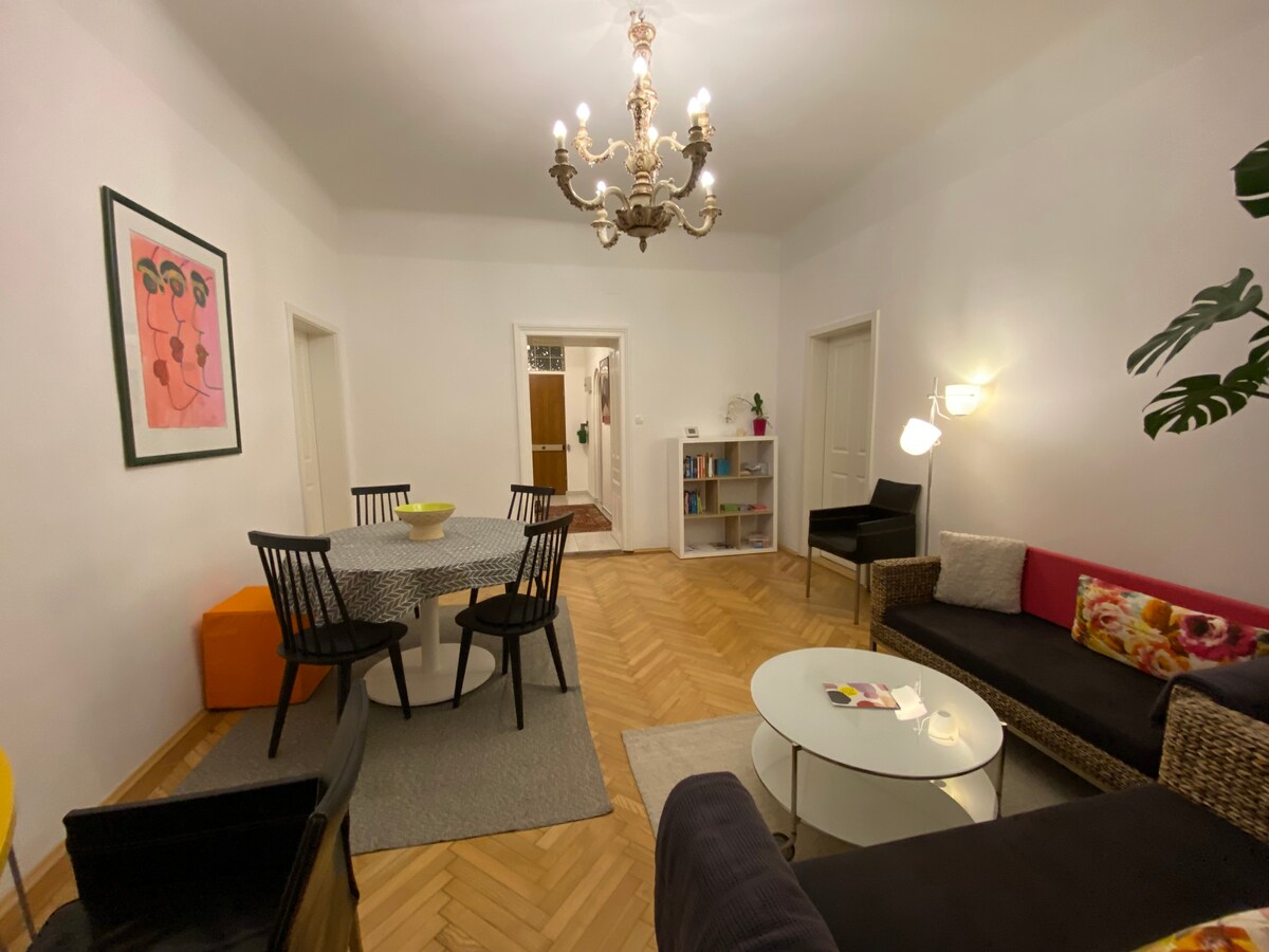 迷人的维也纳老式公寓（ U4 Pilgramgasse ）