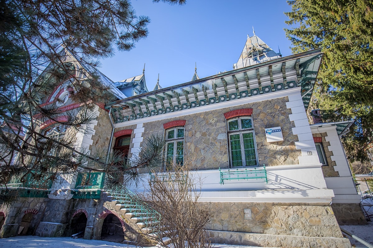 Olala Villa Sinaia |豪华风格8米。Peles Castle