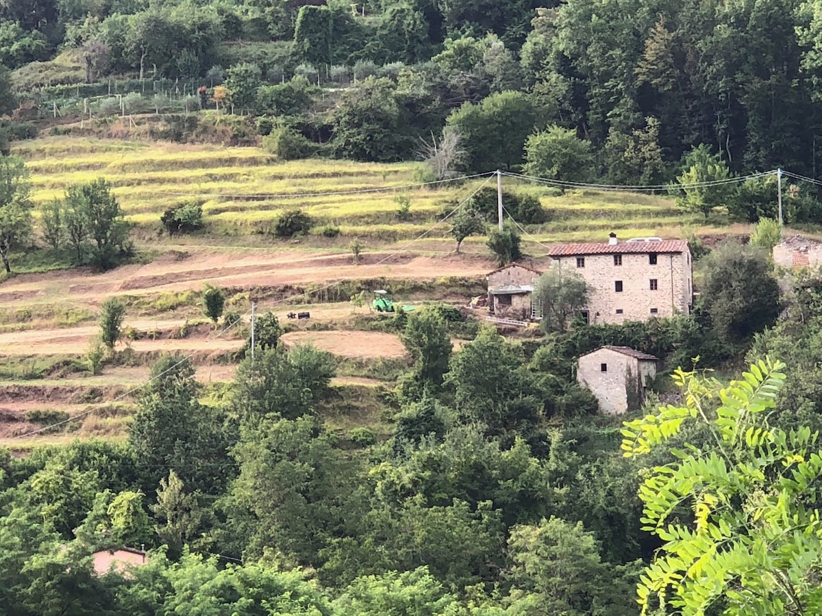 里昂莫尔托住宿加早餐房源