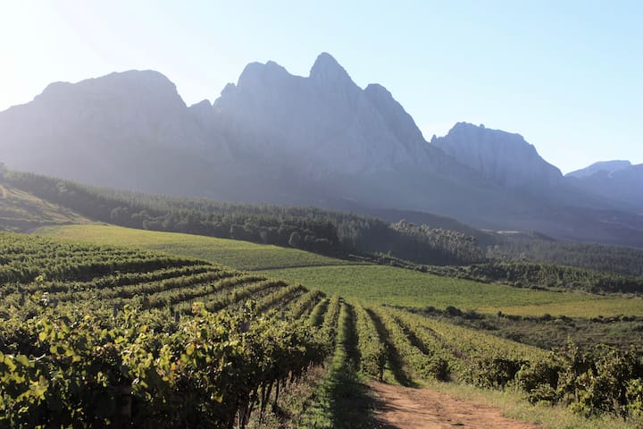 斯泰伦博斯(Stellenbosch)的民宿