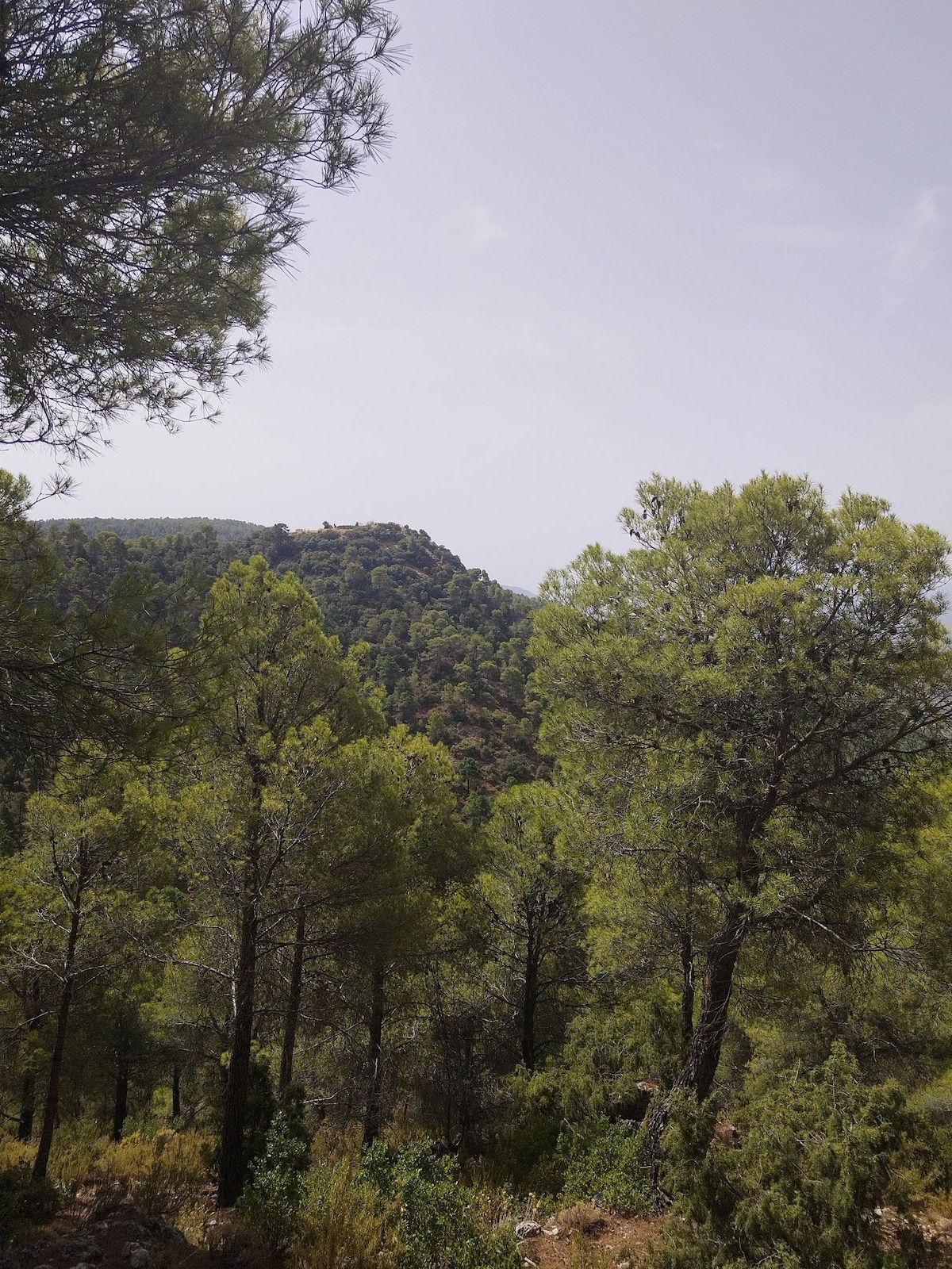 Casa con patio en la Sierra de Segura.