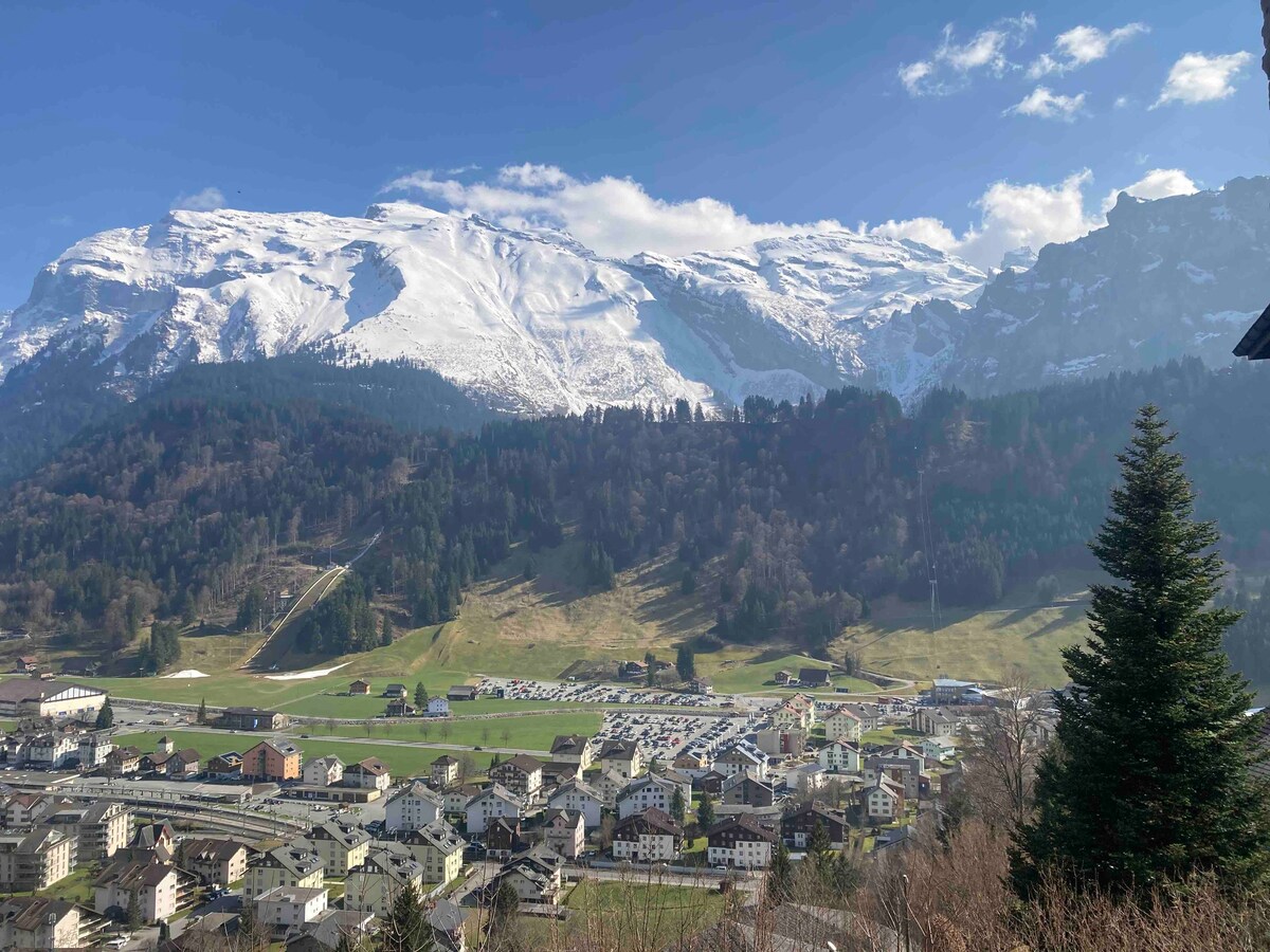 Eugenia Haus Villa/Ski Lodge mountain &valley view
