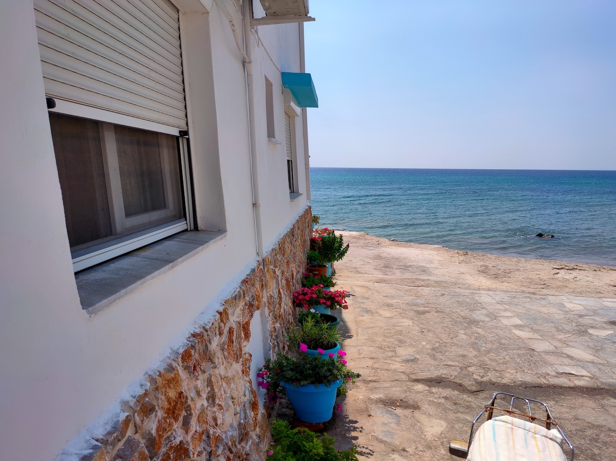 Appartment next to the beach