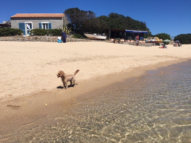 Santa Teresa Gallura Capo Testa  sulla spiaggia