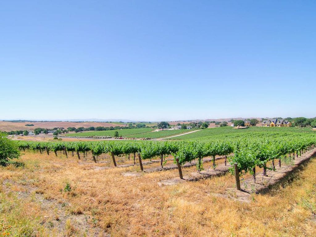 葡萄酒之乡360度山顶葡萄园景观