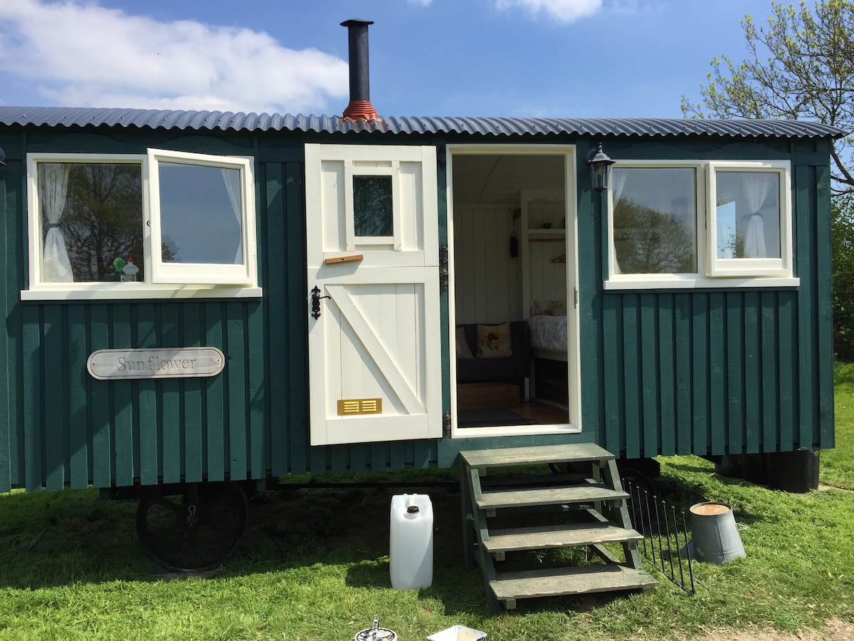 Shepherds hut (SF)位于Bluecaps Farm, Cousley Wood。