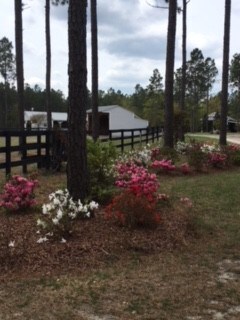 Aiken Horse Overovers