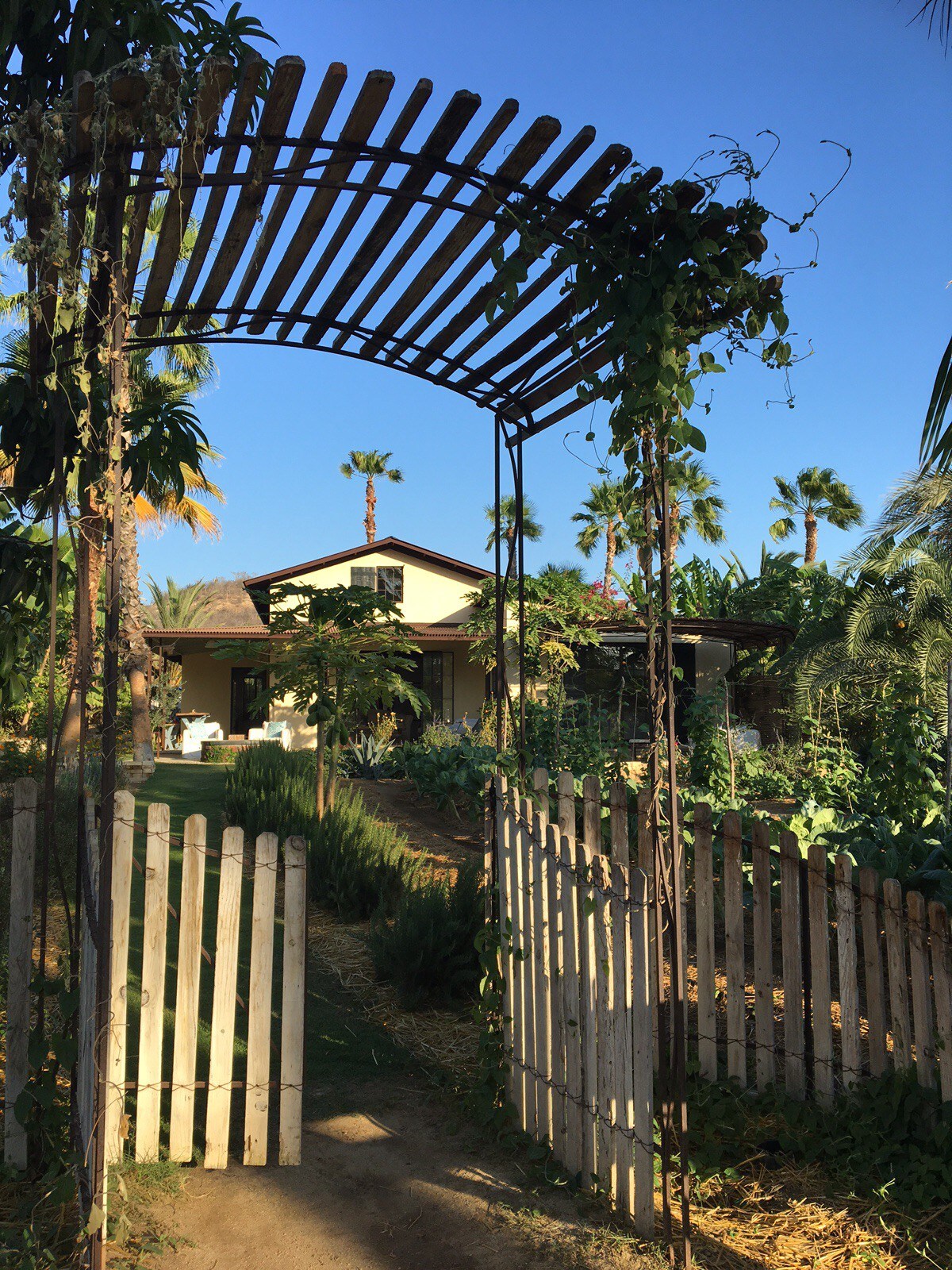 Flora Farms Cottage San Jose Del Cabo