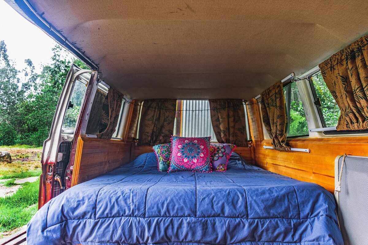 Hippie bus in the woods with a mountain view