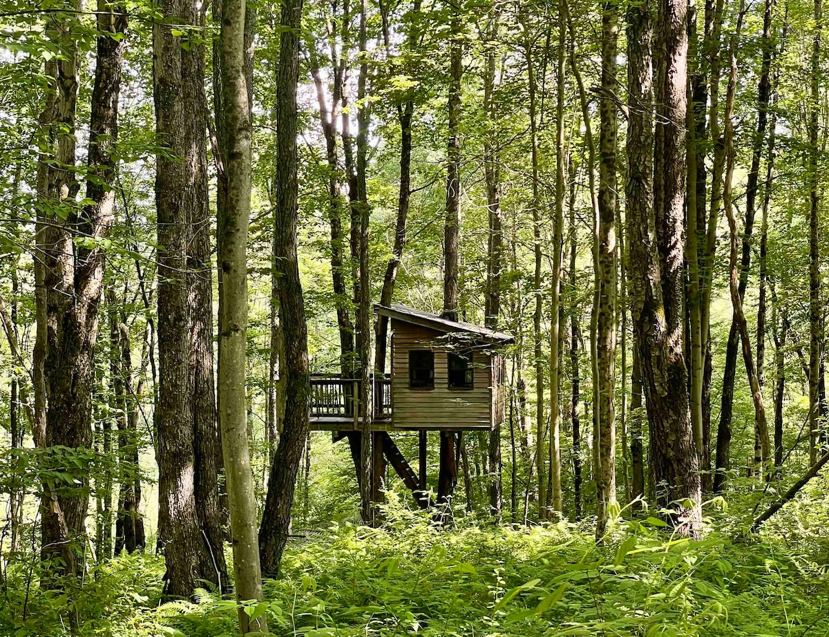 Treehouse adventure on regenerative farm