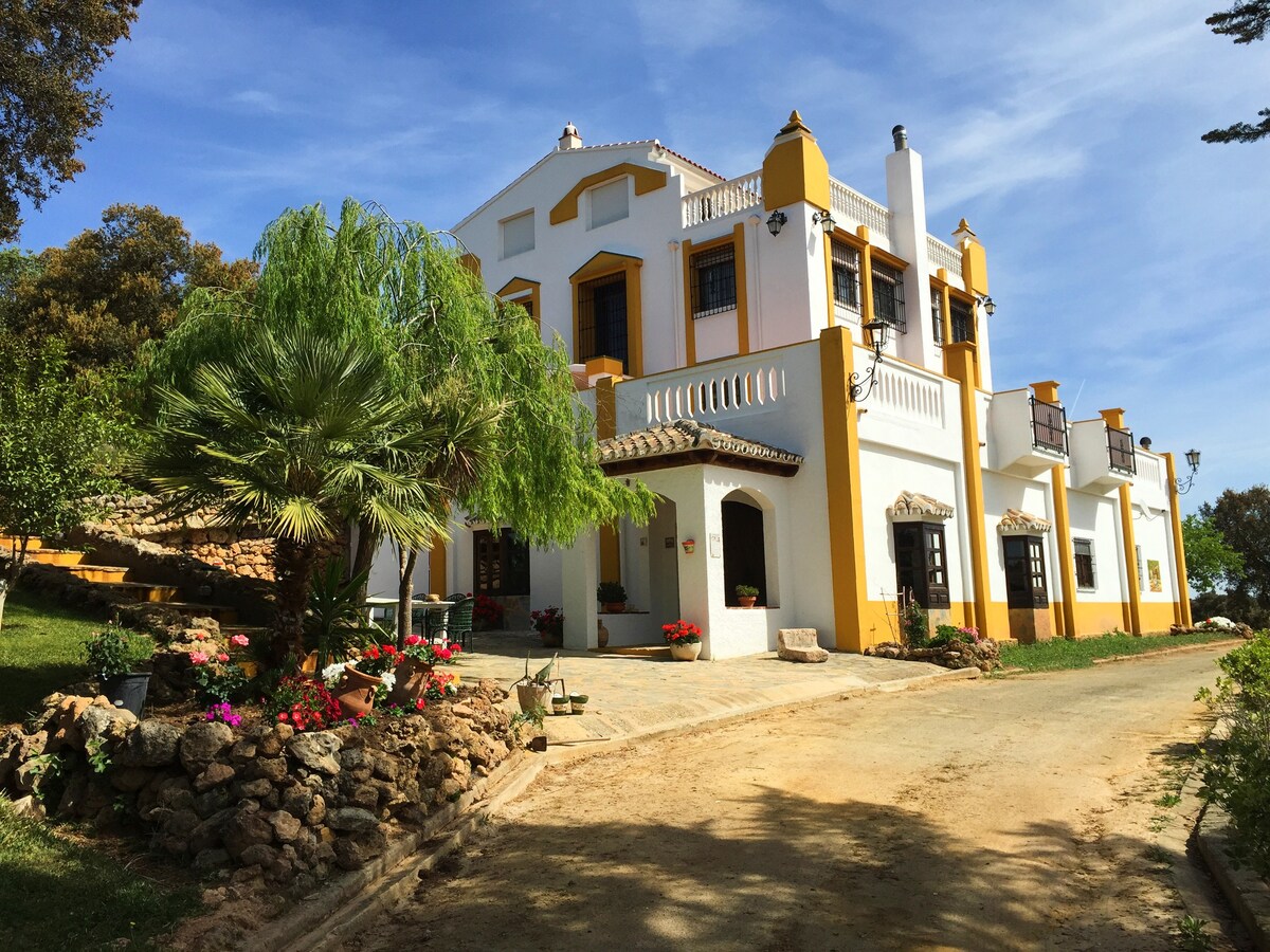 Country house with pool - Archidona-Málaga