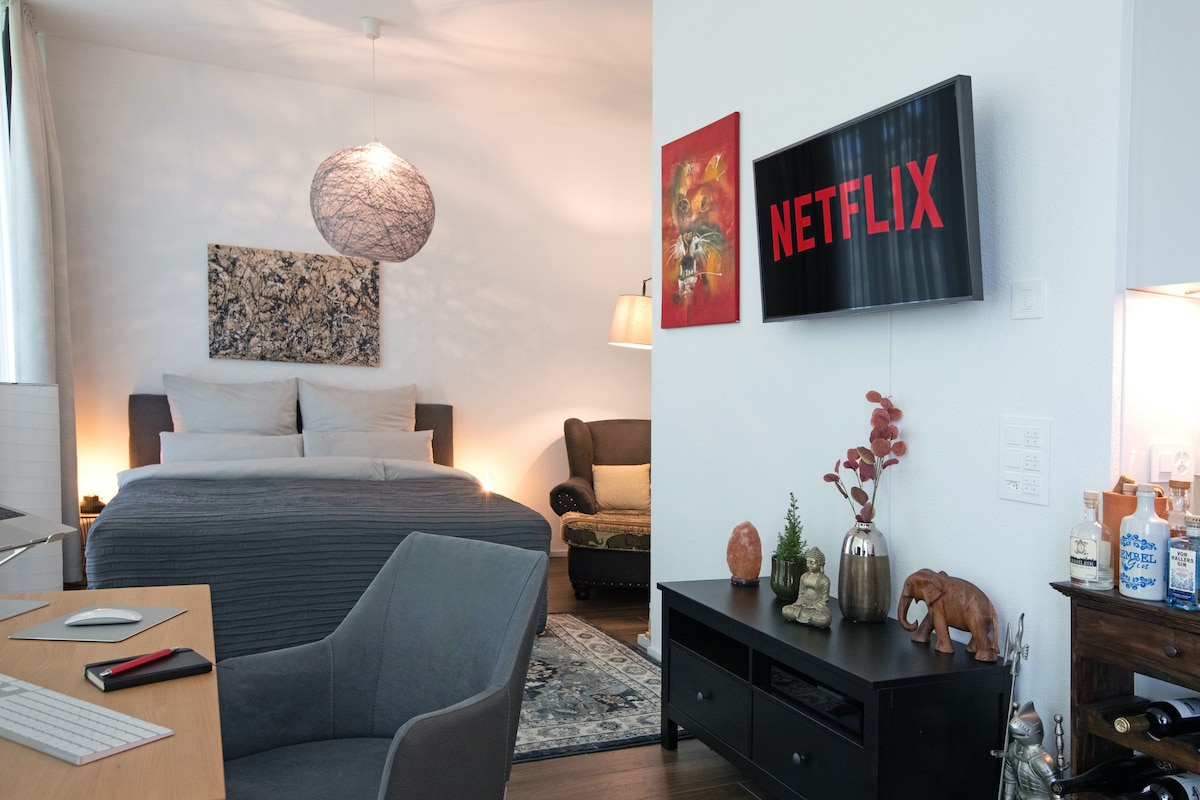 豪华公寓+ Netflix ！ 4Min Rhine, Fair, Novartis