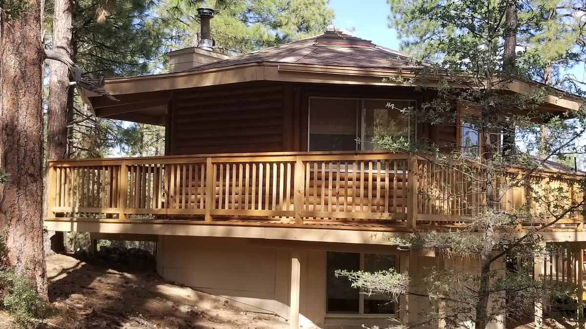 The Cabin in the Pines