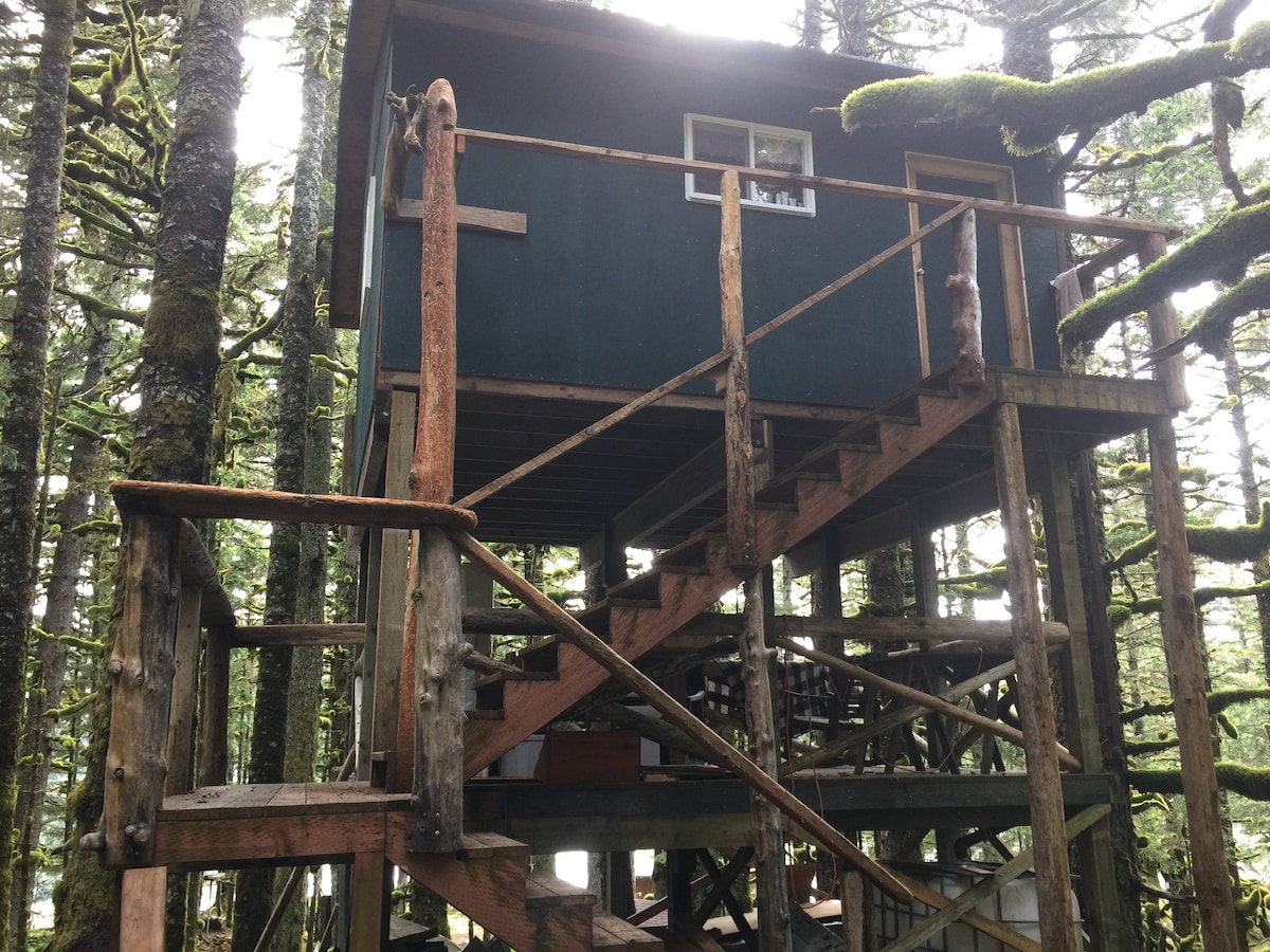 The Eagle 's Nest - Whale Island Treehouse