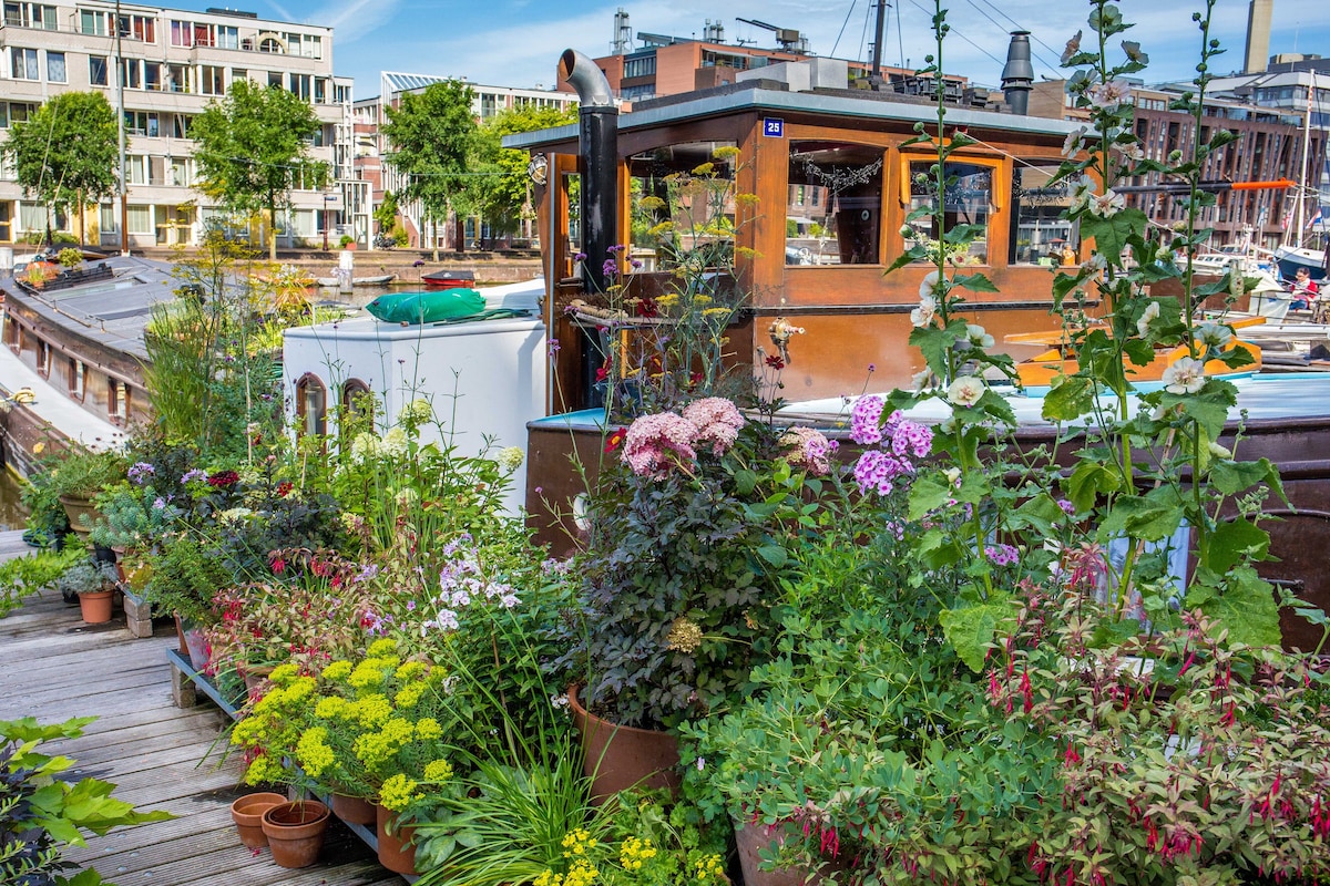 HOUSEBOAT Westerdok 25