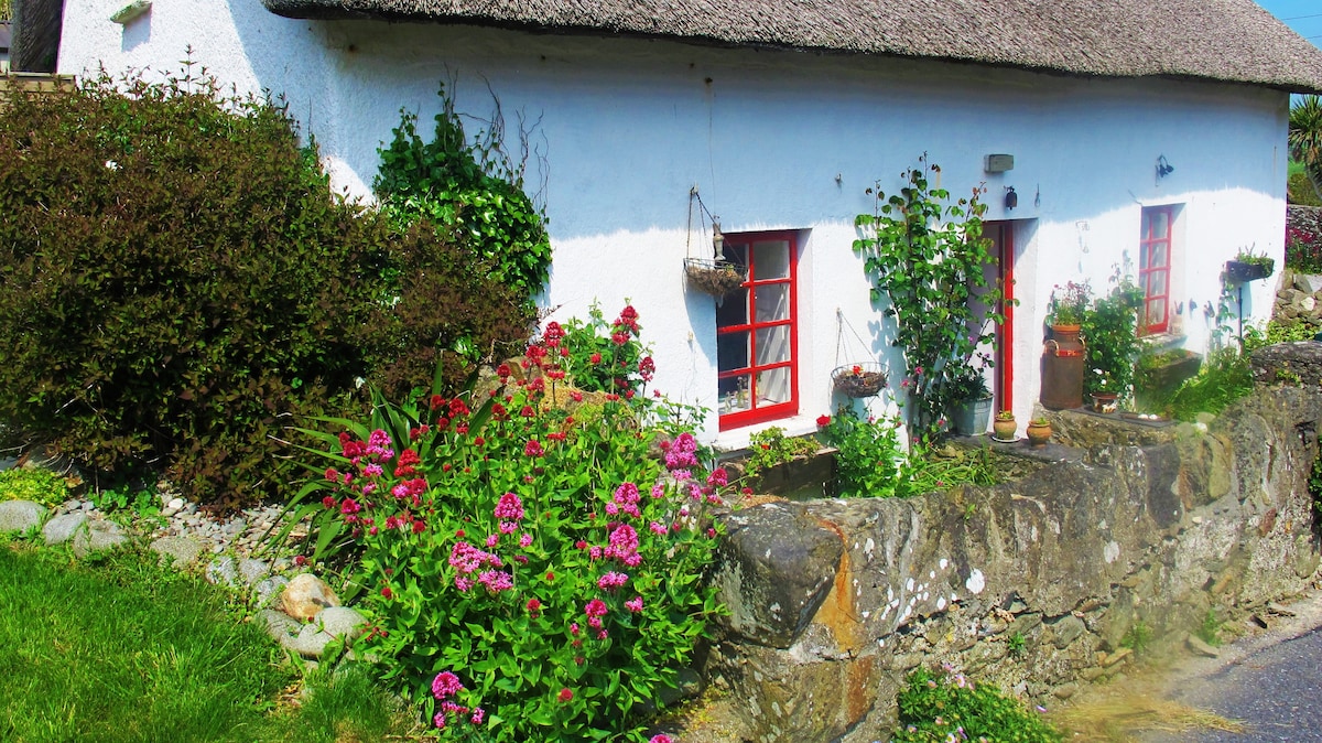 Thatched Cottage by the Sea