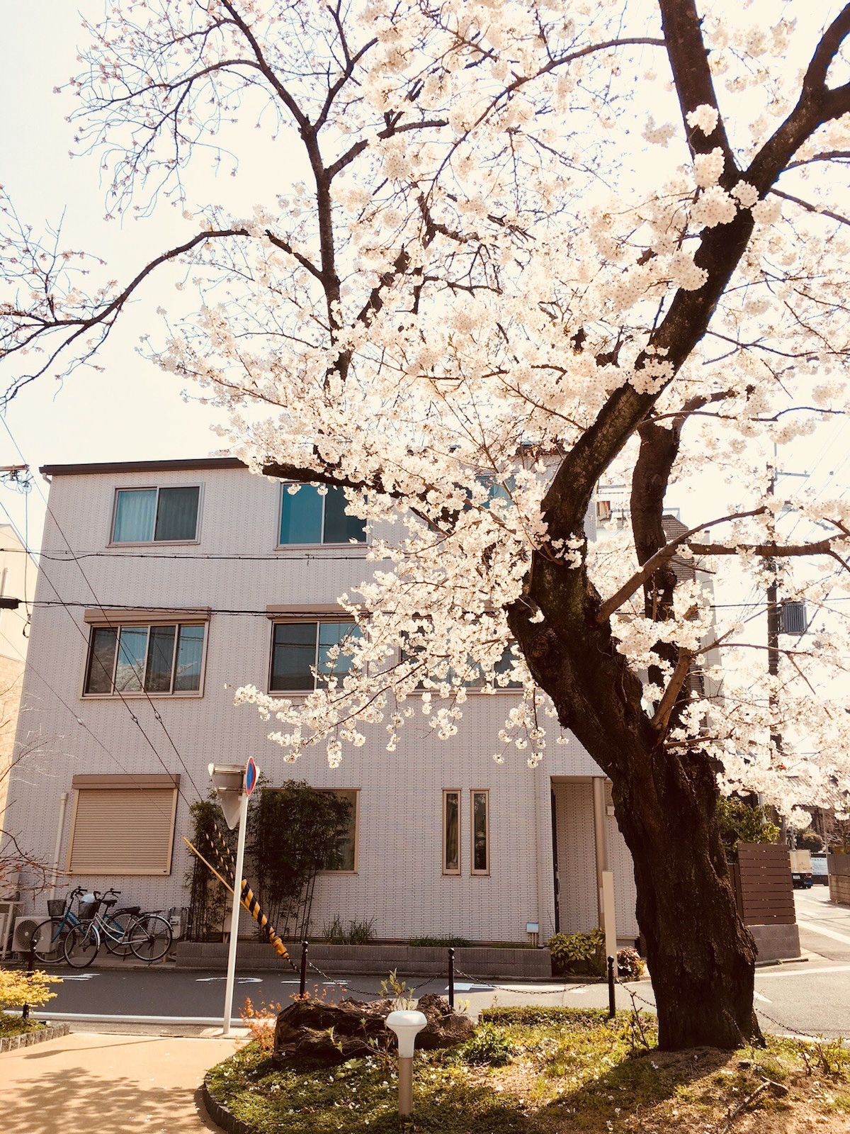 民宿，大床步行7分钟到京都站Queen bed 7min walk to Kyoto station