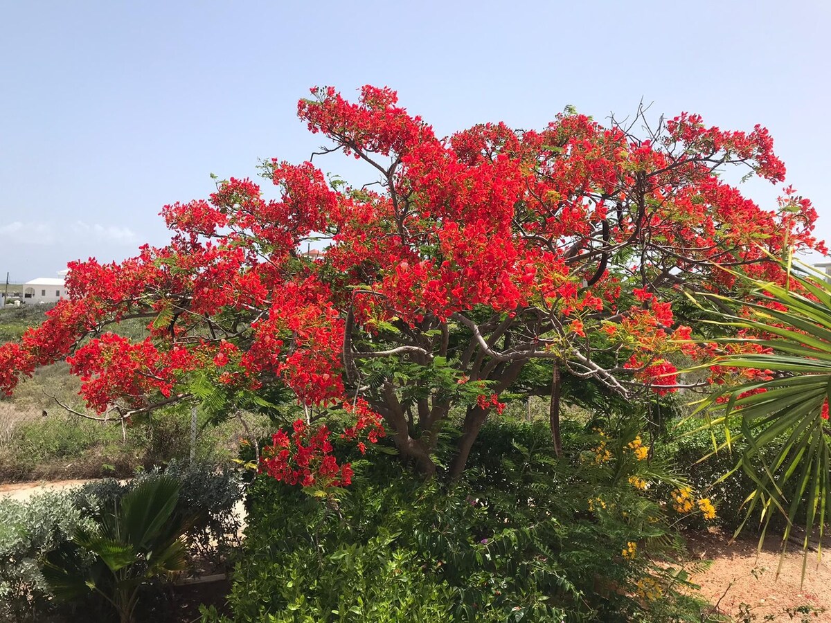 Sandyhill火山花园别墅