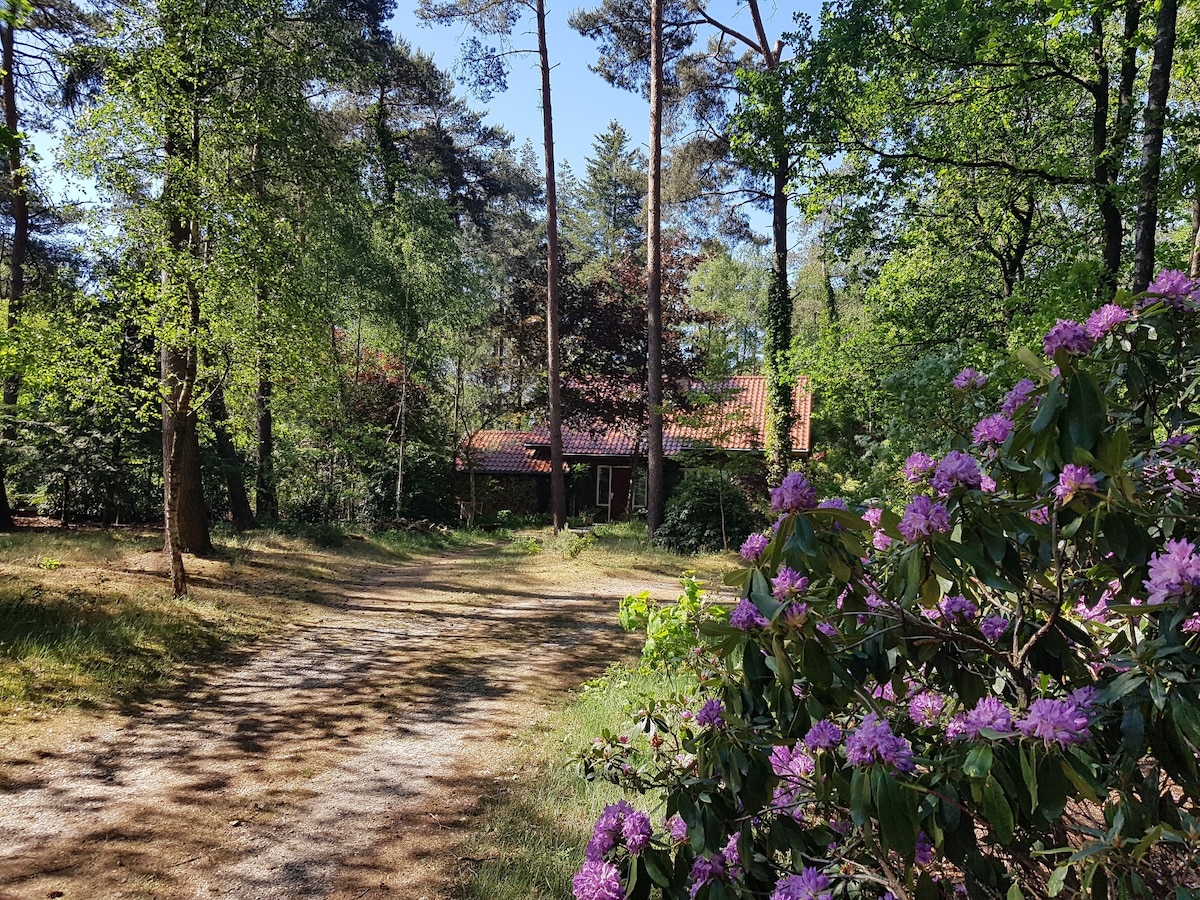 在大自然中尽享大自然小屋「Heidezicht」