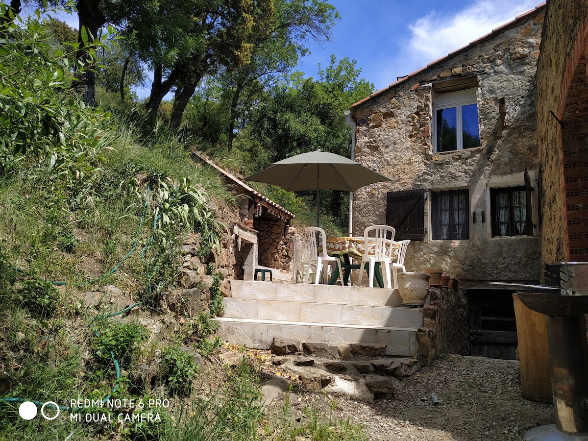 Gîte 4 pers et chien, hameau calme, lande, parking