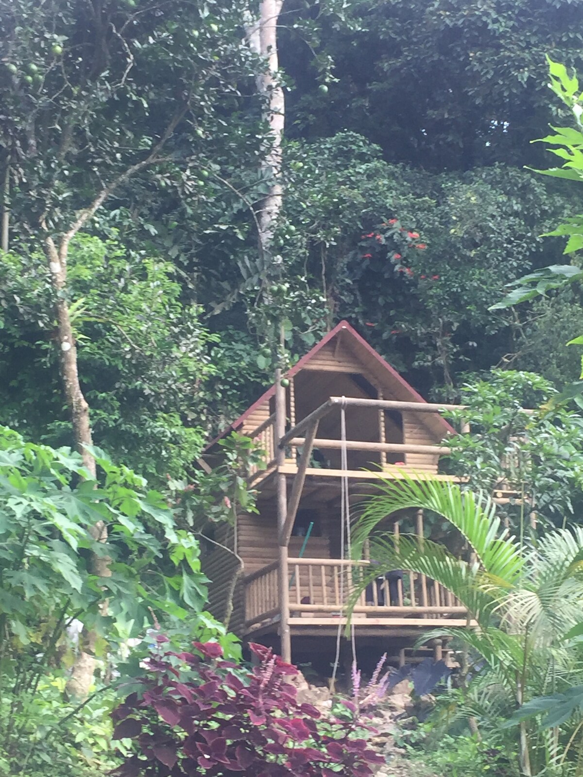 Eden Glamping Reserve the Manigua❤️☘️🌴🍀🌸🌺🌳