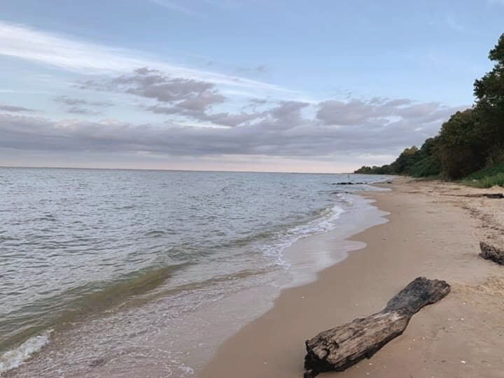 切萨皮克湾（ Chesapeake Bay ）古湾经典海滨