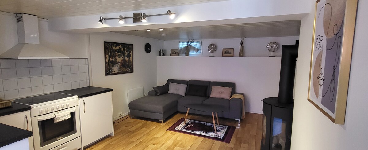 Central and Large cosey apartment