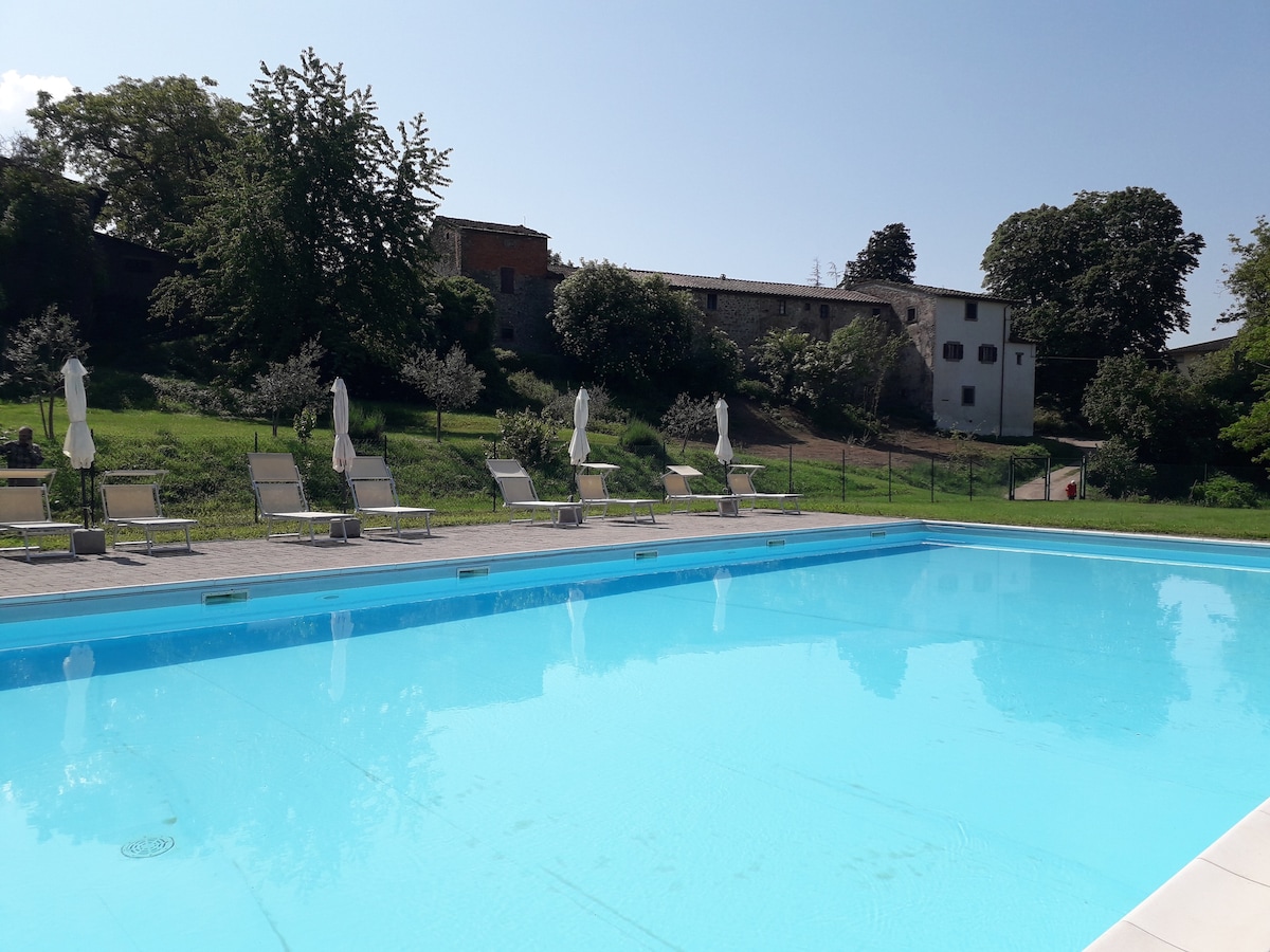 Farm life, house with large kitchen, pool