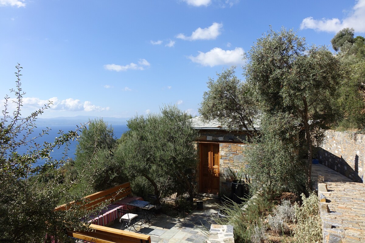 WILD OLIVE TREES house, Afeilianes Stone Houses