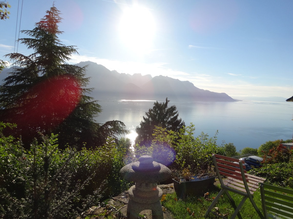 湖景小屋（ Lake View Lodge ） -壮丽的湖景