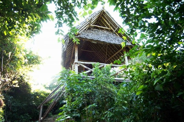 Treehouse in a Wildlife Sanctuary - Beach Access