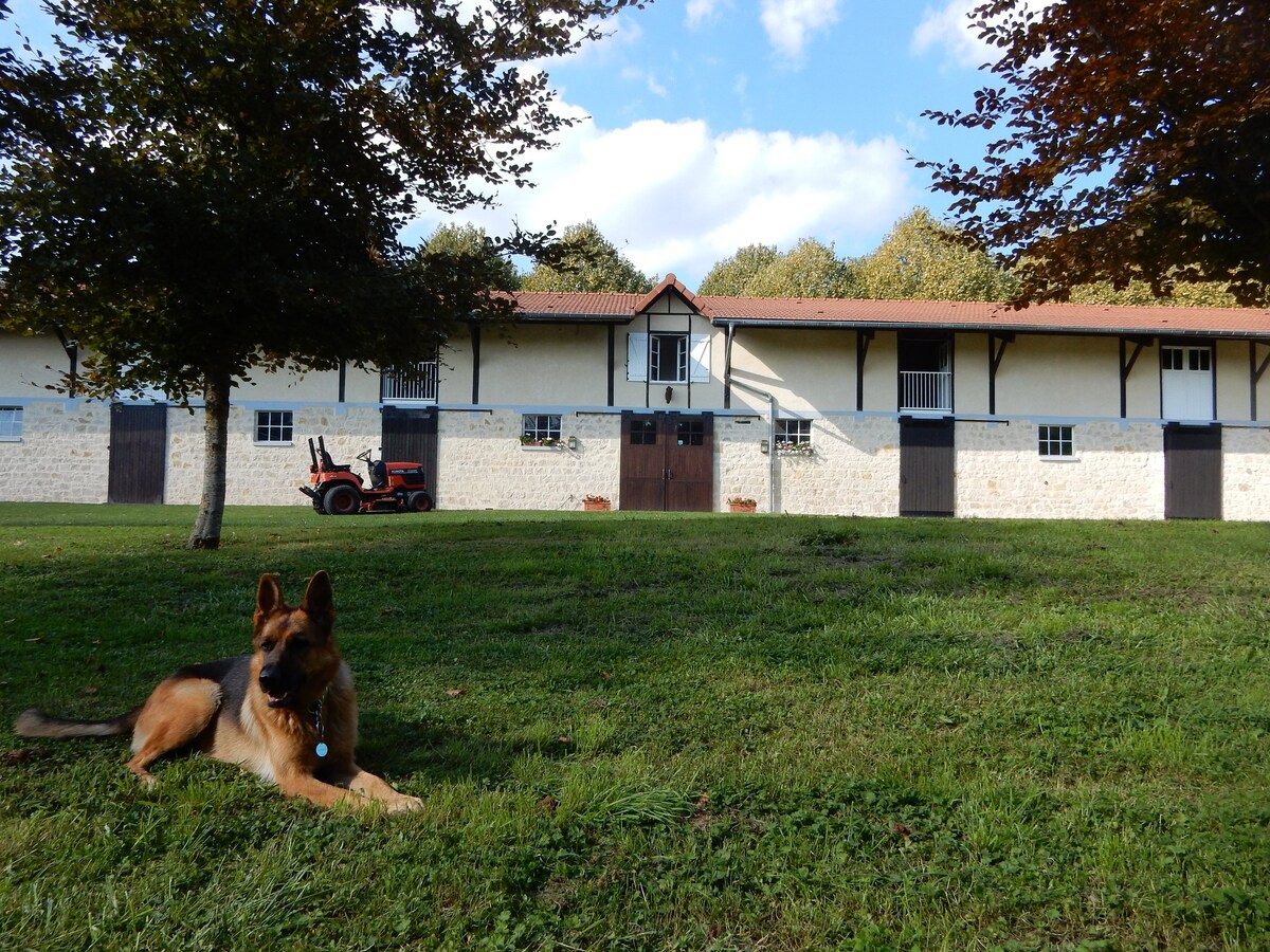 Loft en Champagne - L'Aisne et la Forêt d 'Argonne