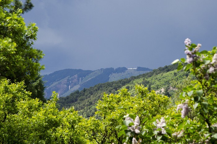 远离城镇，进入山区，安静的小木屋