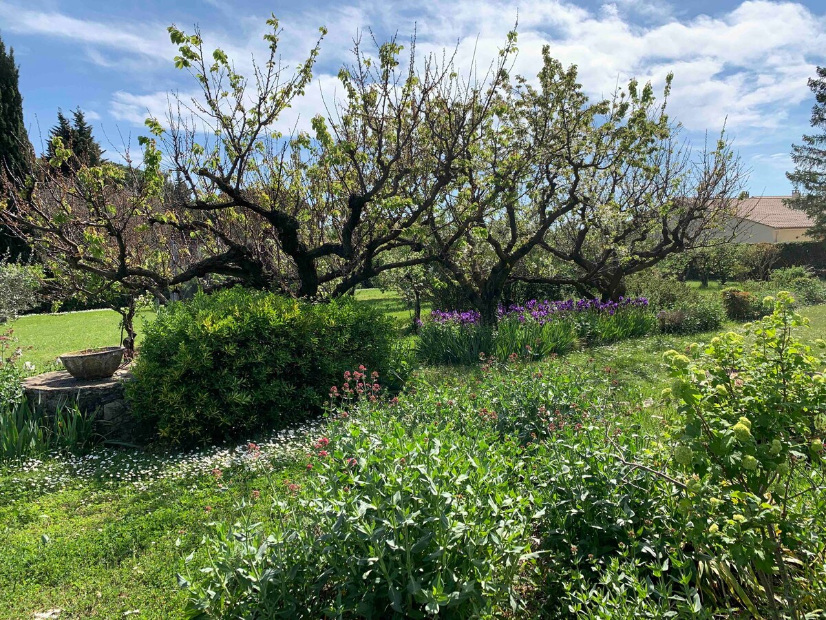 Vacances en Provence