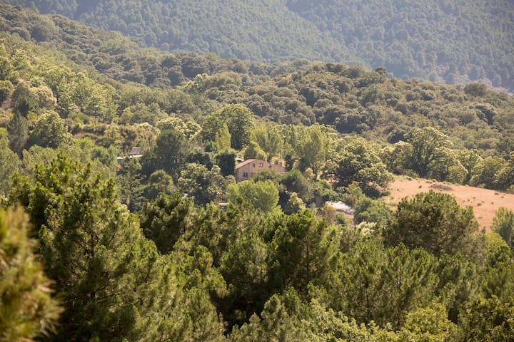 Andalucía的民宿