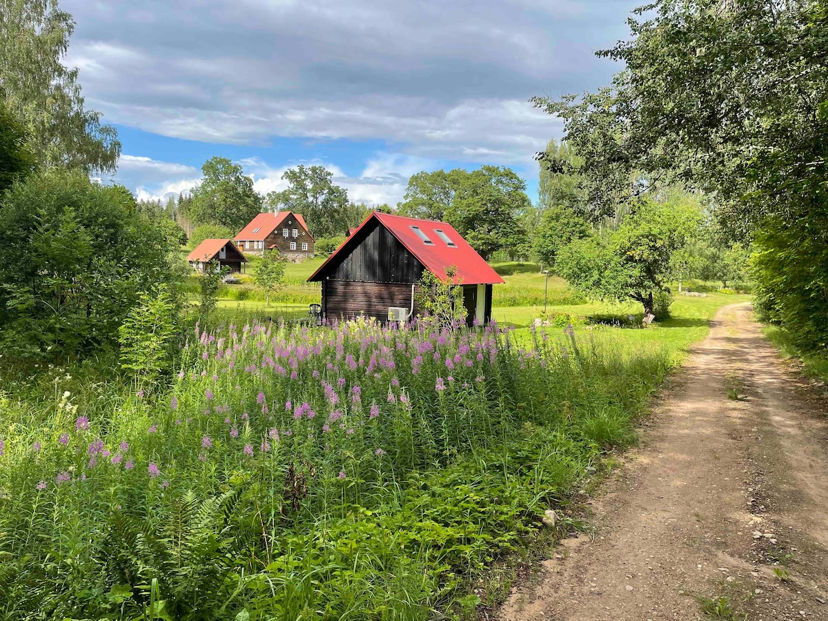 Tinso Talu大自然中的舒适小屋，带热水浴缸