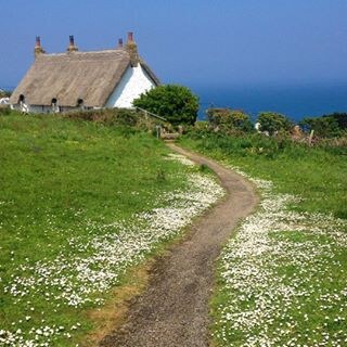 海边茅草地Cornish农舍，可入住8人。