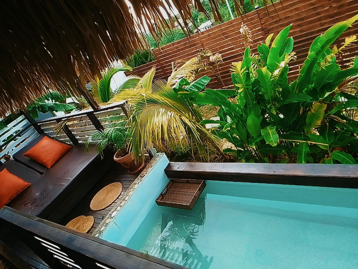 Holistic Eco Villa with Ocean View & Plunge Pool